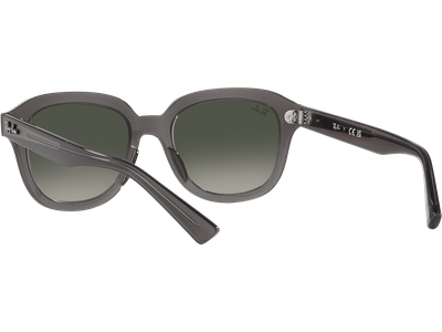 Ray-Ban Sonnenbrille Unisex Ray-Ban Erik RB4398 667571 Ansicht 5