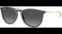 Ray-Ban Erika Classic RB4171 681311