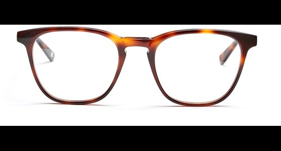 FRAIMS 03-97110-01 Bruce, Dunkel Havanna - Ansicht 2