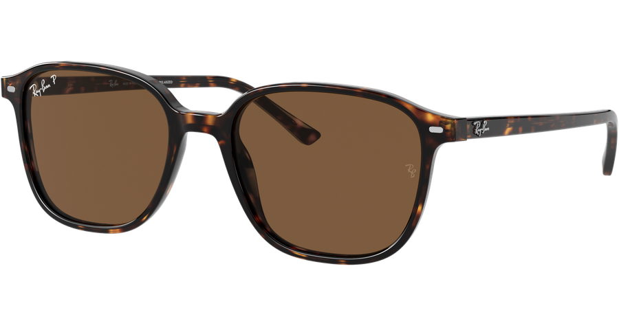 Ray-Ban Sonnenbrille Unisex Ray-Ban Leonard RB2193 902/57 Ansicht 1