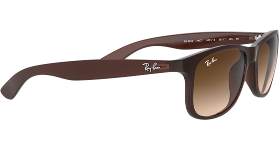 Ray-Ban RB4202 Andy Matt Braun / Verlauf Braun 607313 55 - Ansicht 15