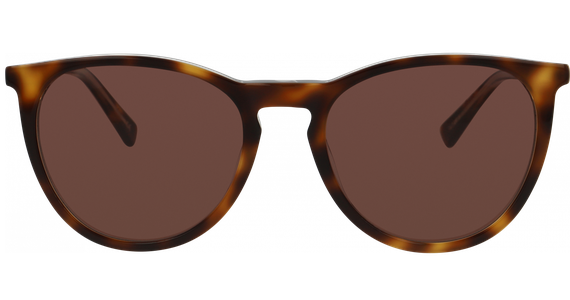 meineBrille 14-36040-02 Havanna transparent / Gold matt - Ansicht 2