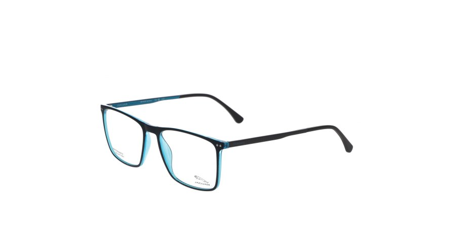 Jaguar Brille Herren Jaguar 36822 55 3100 Ansicht 1