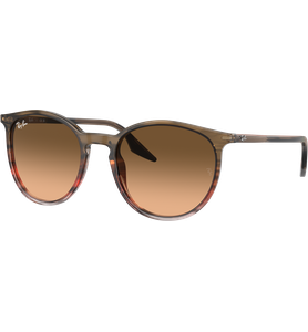 Ray-Ban RB2204 13953B - Ansicht 2